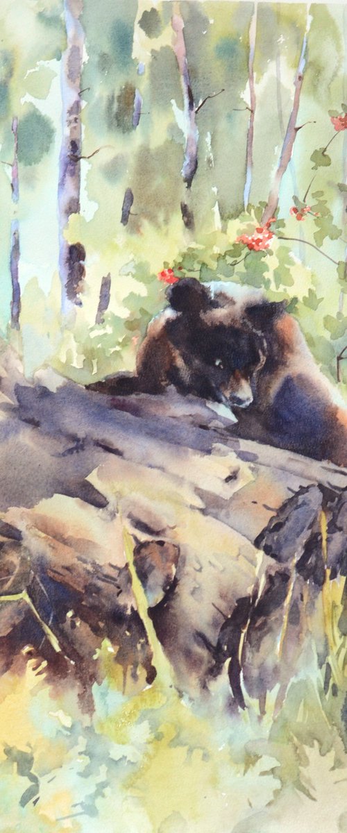 Bear in the forest / Watercolor wild animal by Yulia Evsyukova