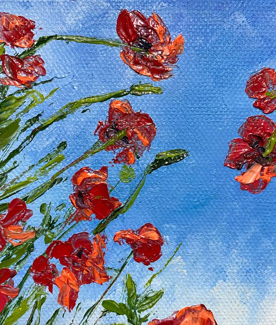 Poppies in the sky