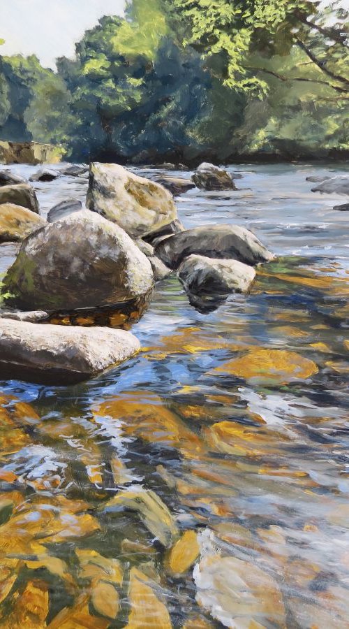 Granite Boulders, East Dart River by Lawrence Dyer