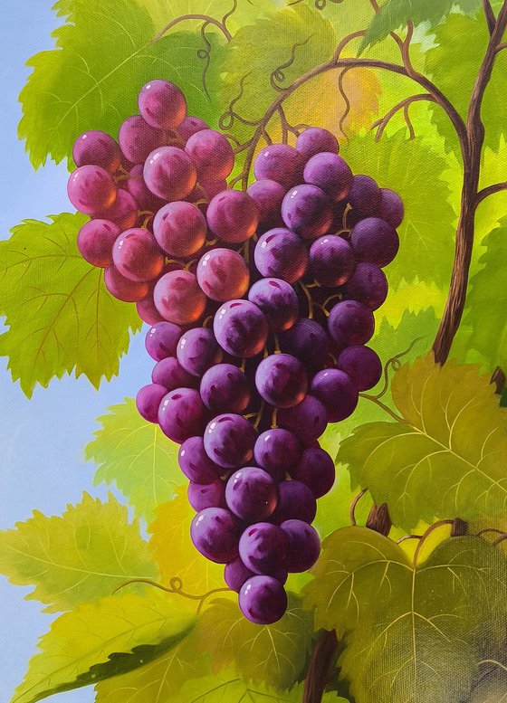 Sunlit Grapes