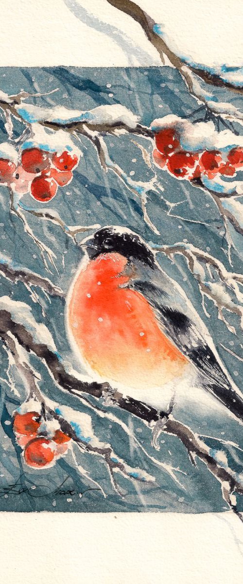 Bullfinch by Eve Mazur