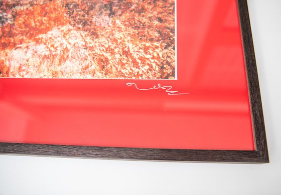 Wall of Nature LX (Framed)