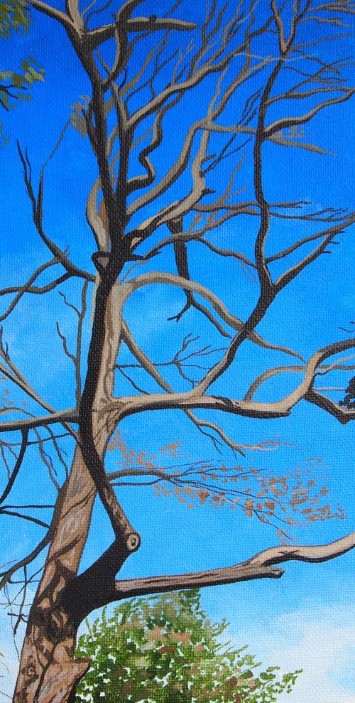 Tree Study #5 by Kitty  Cooper