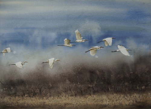 Flock of Snowy Egrets flying by Olga Beliaeva Watercolour