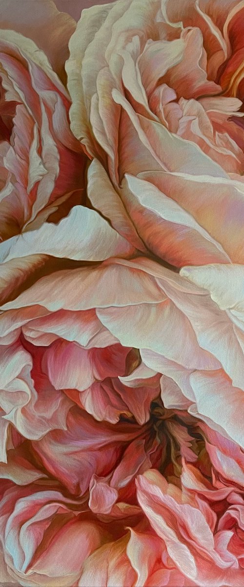 English roses by Elena
