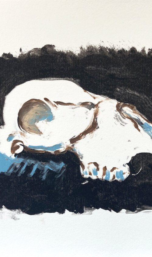 Skull (White/Black) by Rachel Williams