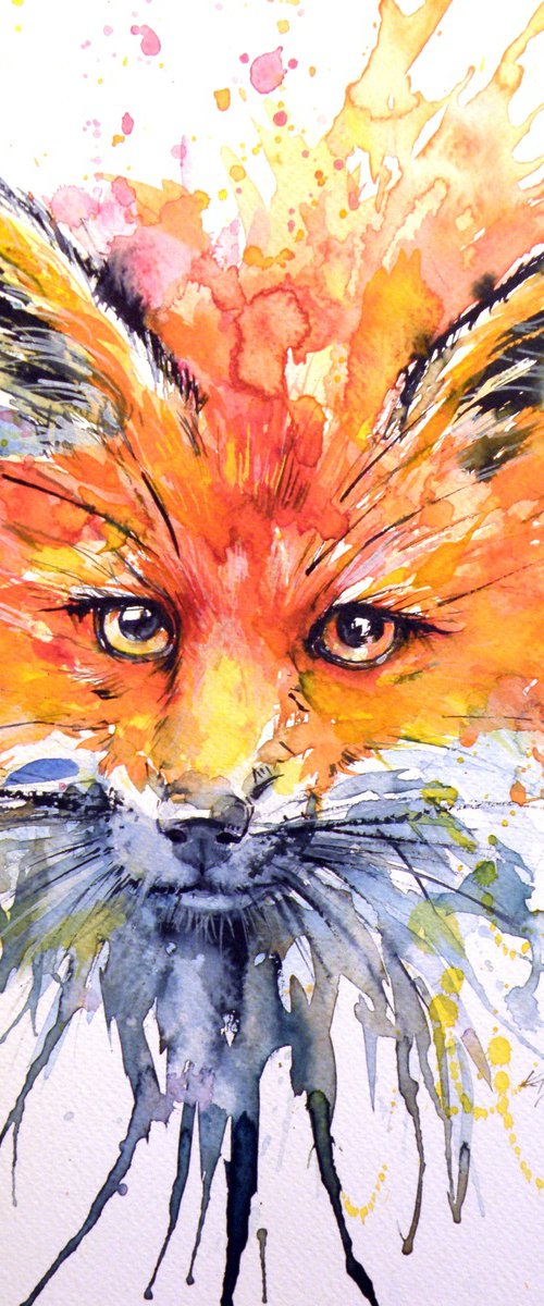 Red fox by Kovács Anna Brigitta