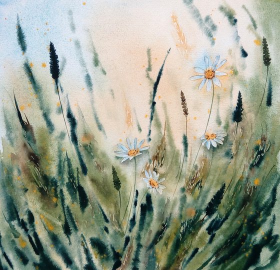 Daisy painting Wildflowers