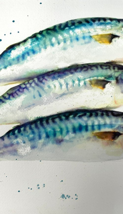 Three Mackerel by Teresa Tanner