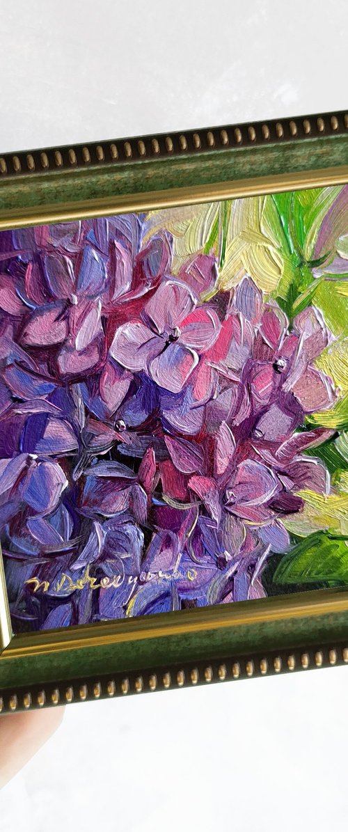 Hydrangea flowers by Nataly Derevyanko