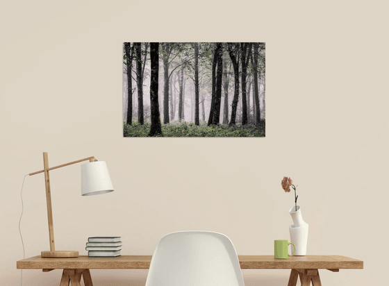 Cornish Misty Wood
