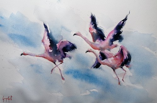 flamingos 5 by Giorgio Gosti