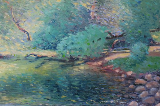 Summer on the Rhine