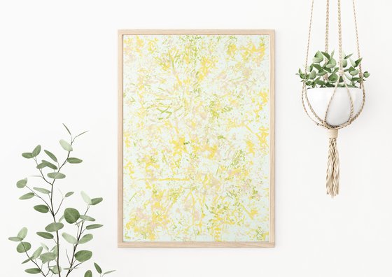 Sunshine in Santo Domingo