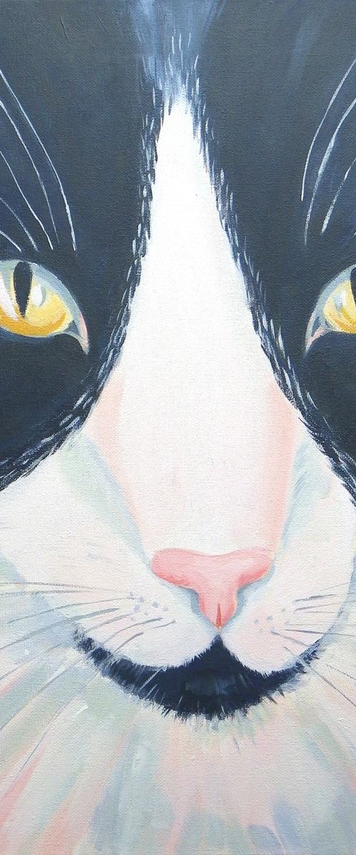 Black and white cat by Mary Stubberfield