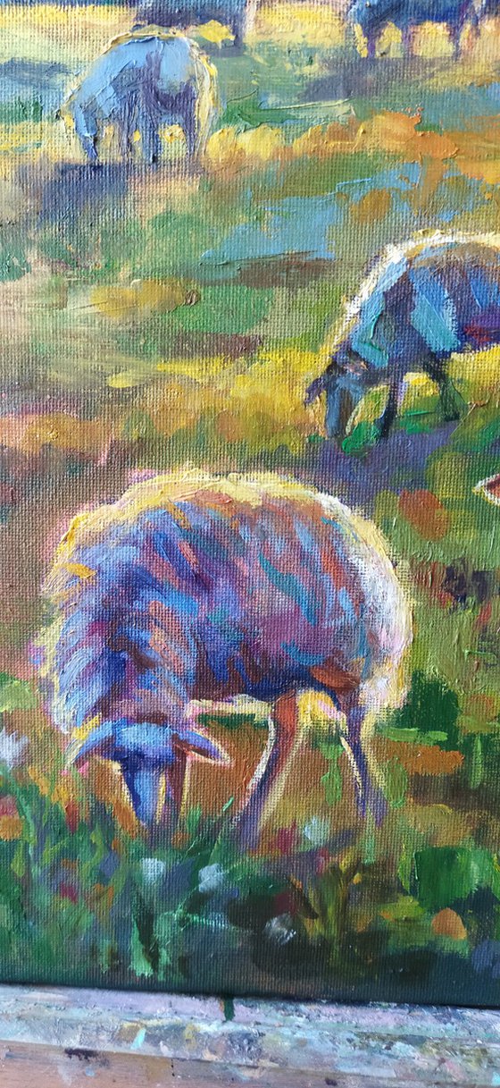 Sunlit Meadow with Sheep