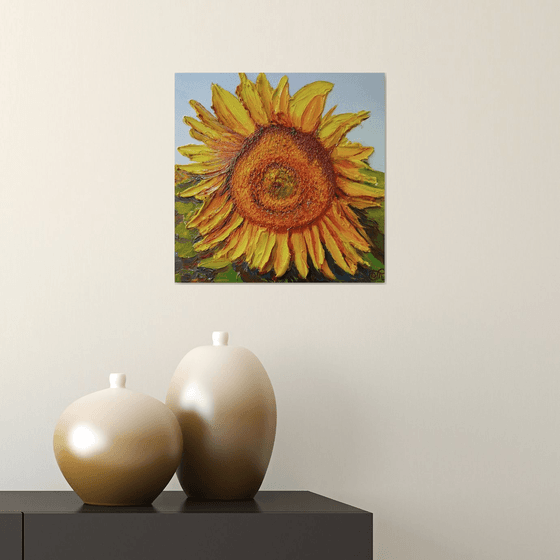 Sunlit sunflower