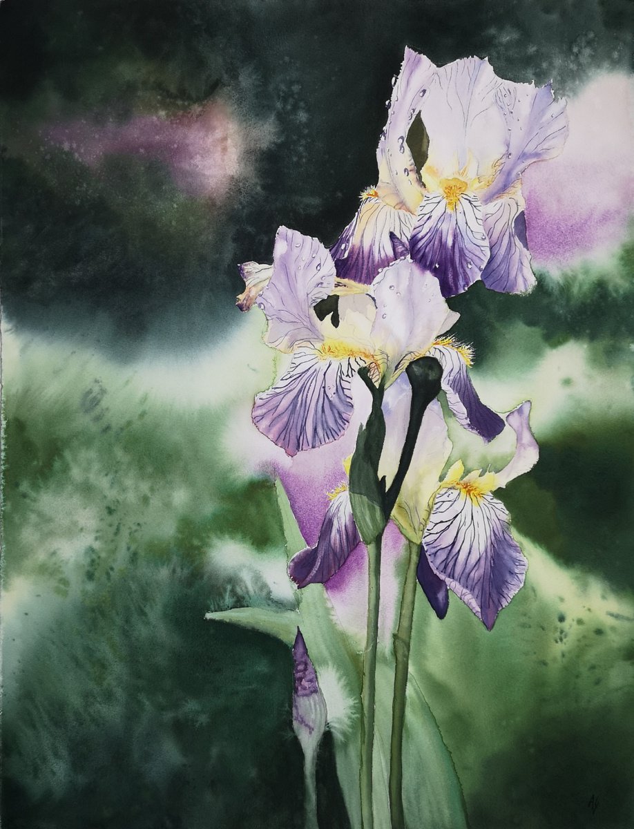Impressionistic Botanical Watercolour By Aneta Gajos, 22 X 30, Majestic, Original Artwork