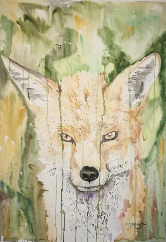 Focused. Watercolour Fox Painting on paper. 42cm x 59.4cm. Free Shipping