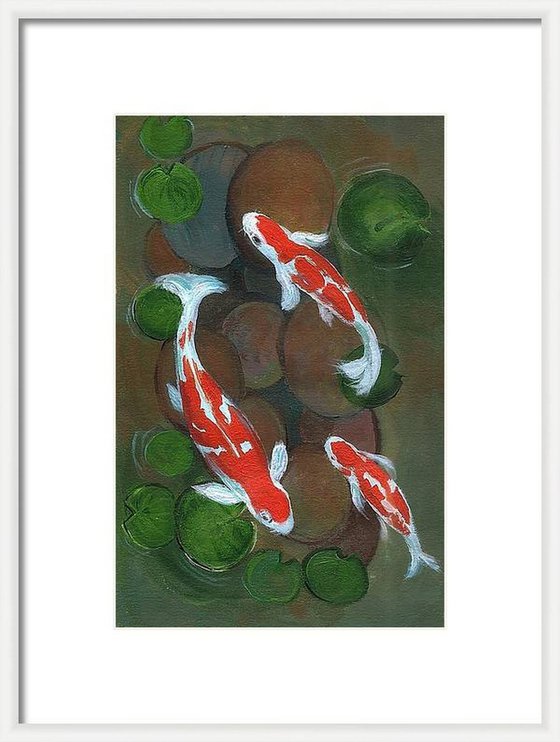 Koi fish in a water lily pond