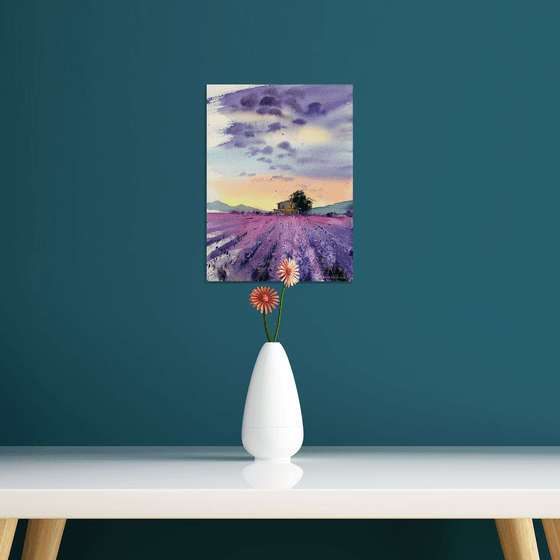 lavender field #3