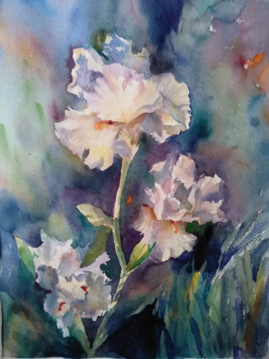 Irises by Nata New