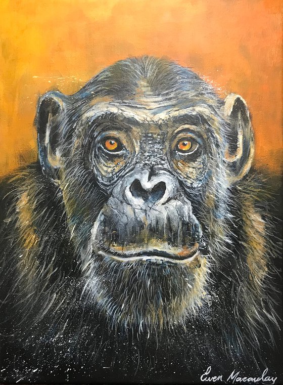 Portrait of a gorilla