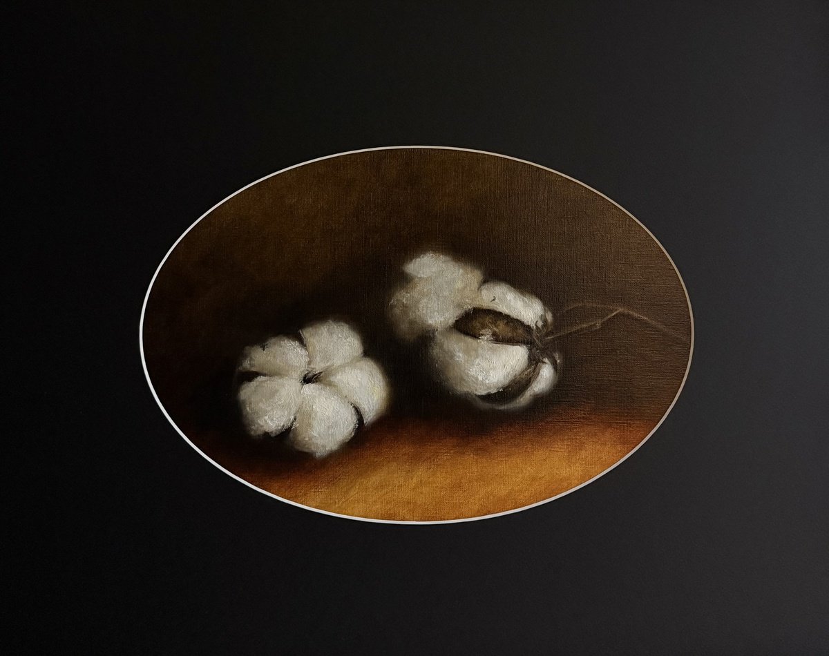 Photorealistic Botanical Oil Painting By Daiva Karaliute, 22 X 17, Cotton Buds, Original Artwork