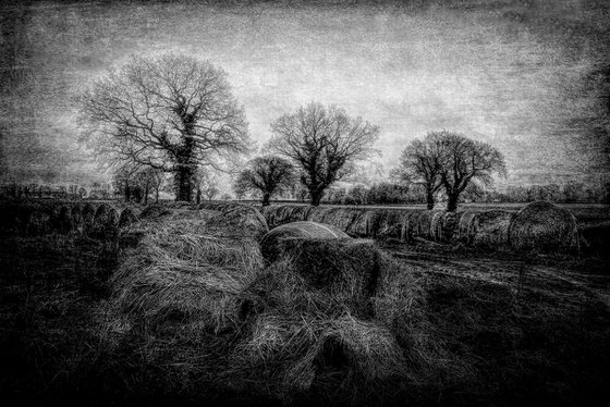 The Straw Bales
