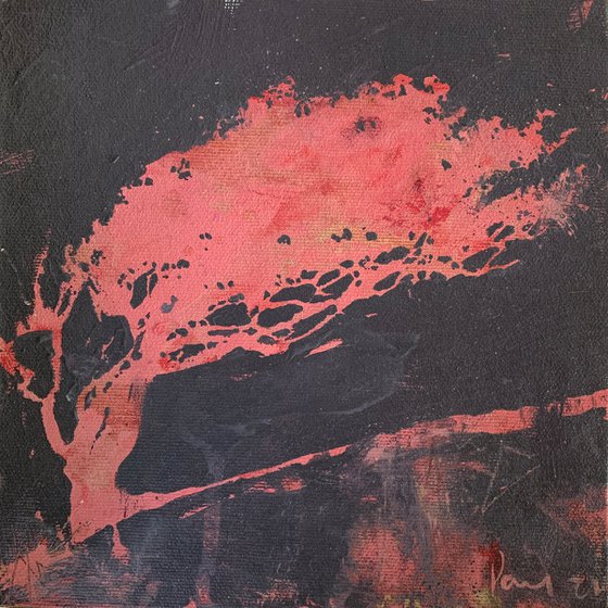 Pink Hawthorn (framed)