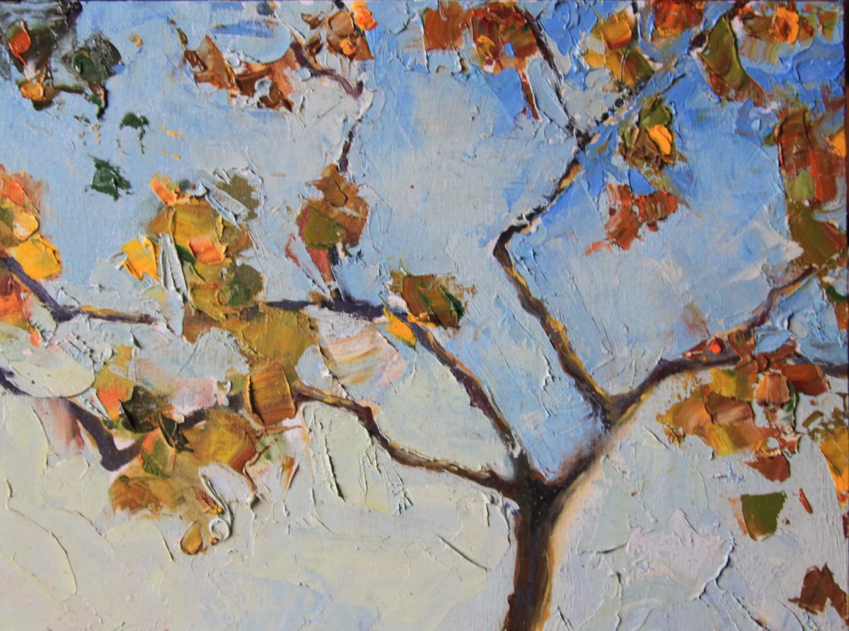 Autumn vineyard by Eugenia Lebedenko