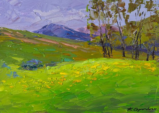 Mountain Flower Fields