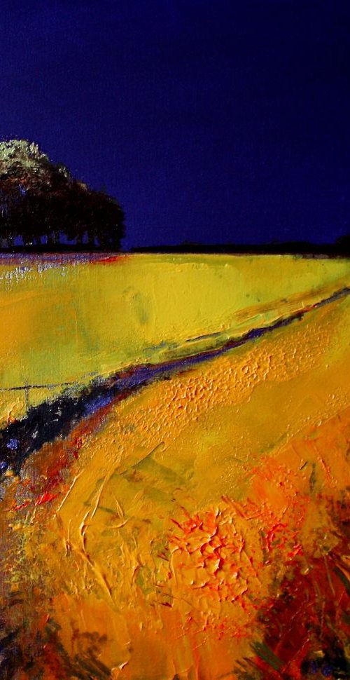 Solaris Dreamfields IV by Simon Jones