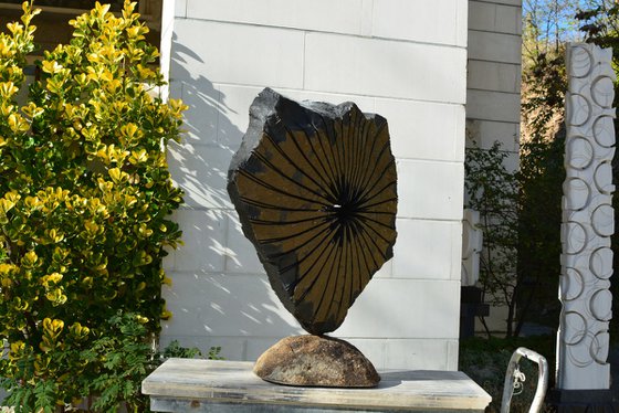 "Zephyr II"