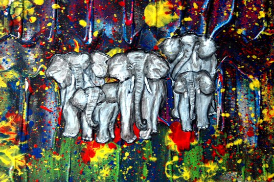 Elephants on confetti