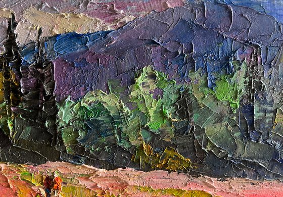 Flowery Mountain Meadows