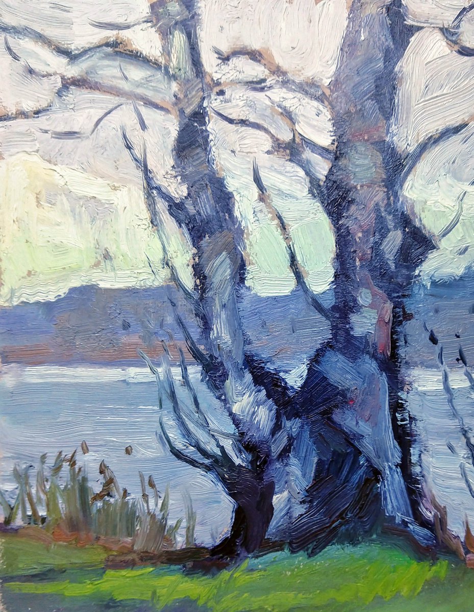 Impressionistic Landscape Oil Painting By Kristina Sellers, 8 X 10", Silvery Alder, Original Artwork