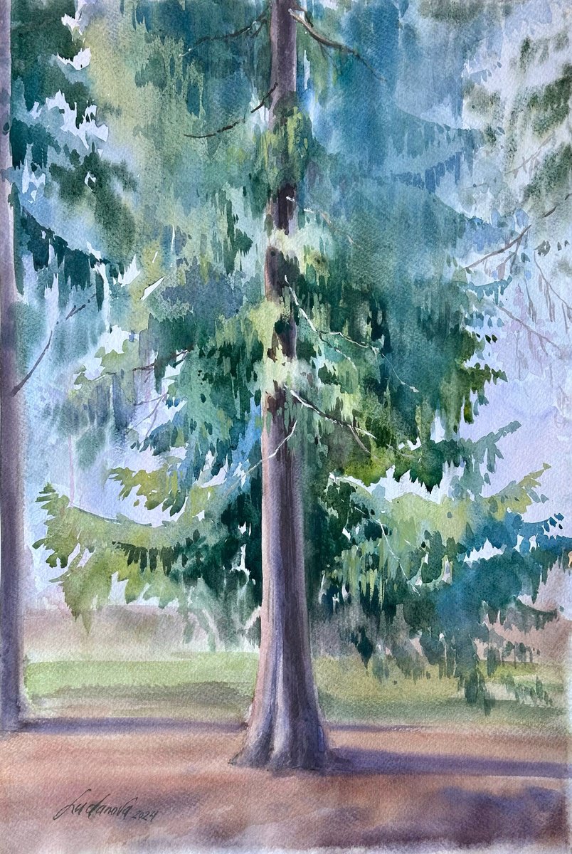 Impressionistic Landscape Watercolour By Yuliia Ludanova, 13 X 19", Pine, Original Artwork