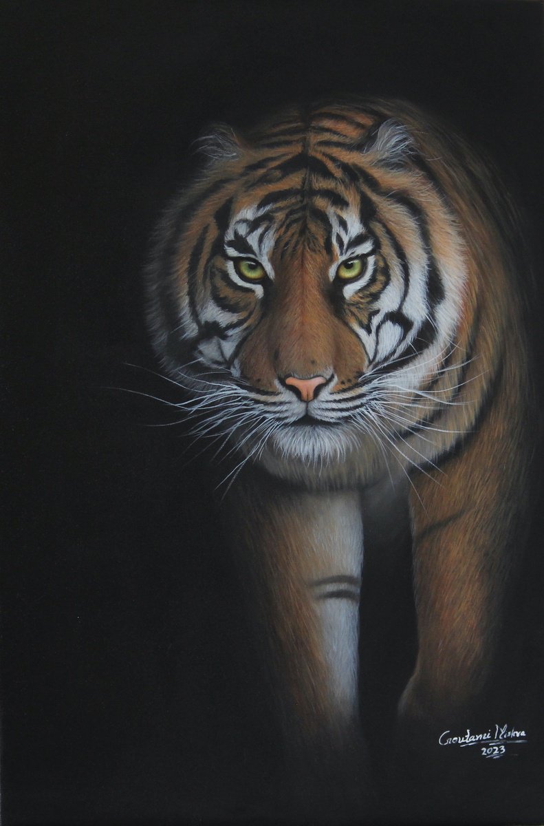 Tiger by Goutami Mishra
