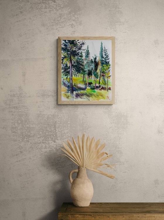 Morning in the Woods