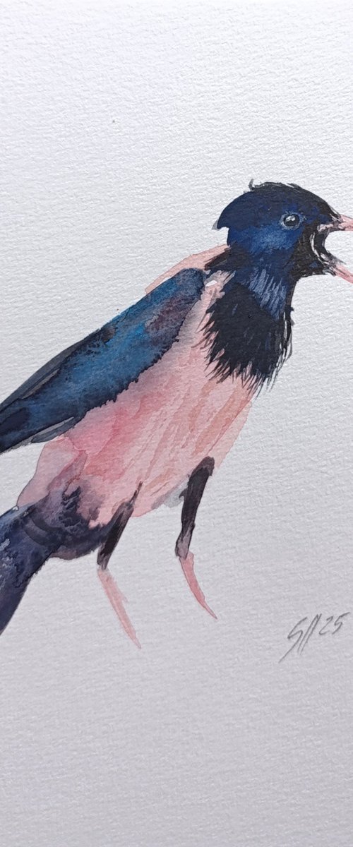 Rosy Starling IV by Salana Art / Svetlana Samovarova