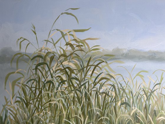 Tranquility III