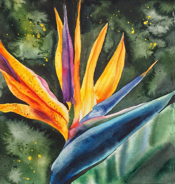 Diptych "Kiss of two strelitzia" tropical flowers bright colors watercolor painting - Gifts for him - Gift for her