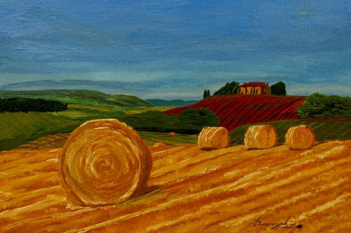 Hayfields of provence France by Dunphy Fine Art
