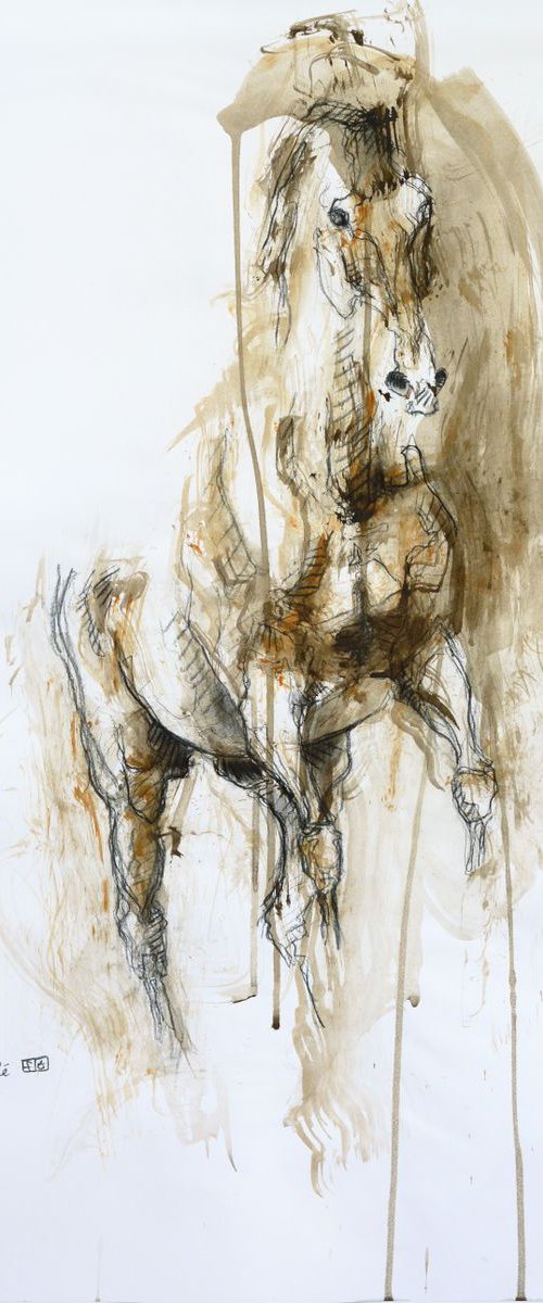Equine Nude 75t by Benedicte Gele