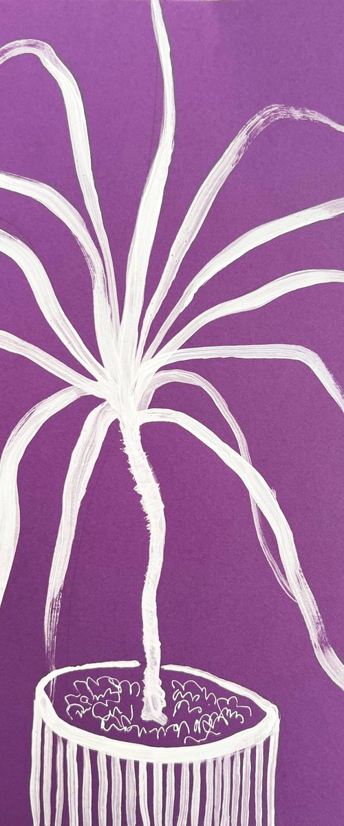 Spider Plant White Ink Drawing by Sasha Robinson