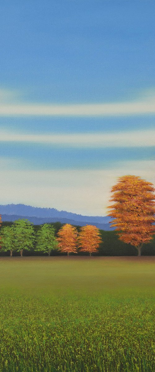 Autumn Trees - Blue Sky by Suzanne Vaughan