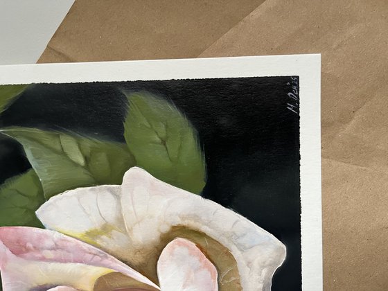 Rose postcard
