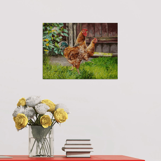 Rooster and chicken, Farmyard Scenery