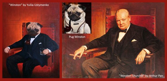 Winston. Pug portrait